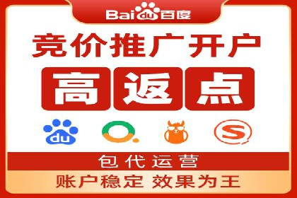 推广竞价策略优化：借鉴成功案例实现精准营销