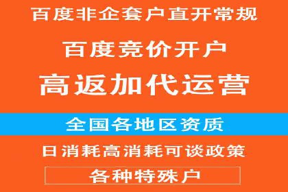百度推广效果案例解析